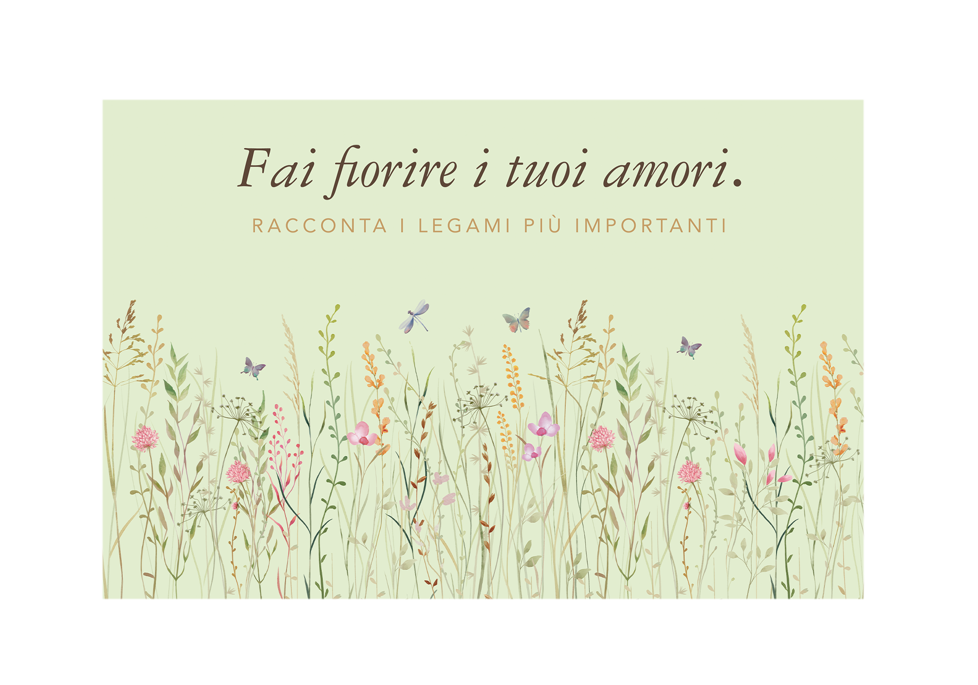 Immagine diapositiva